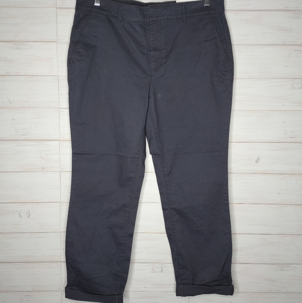 Loft Girlfriend Chino Slim through the hip Pants